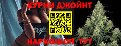 гидра Бийск