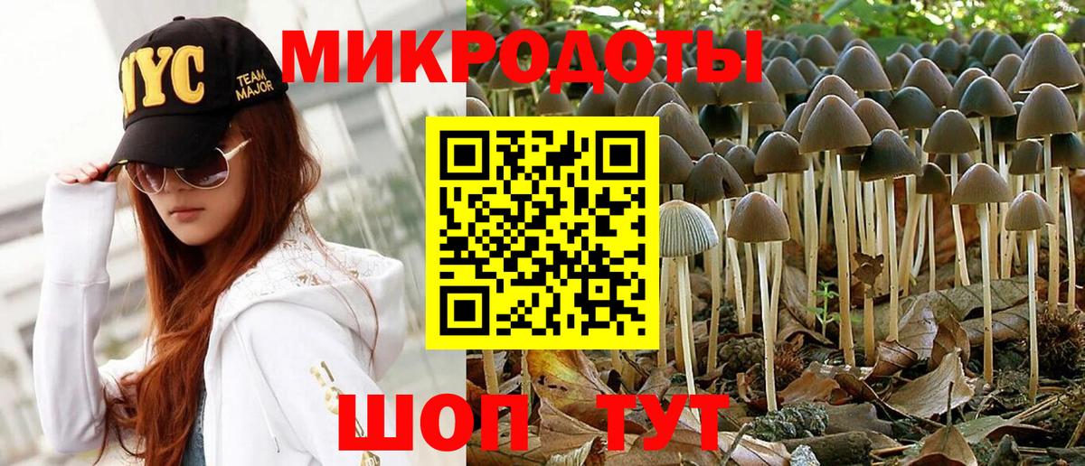 Галлюциногенные грибы мицелий Вольск