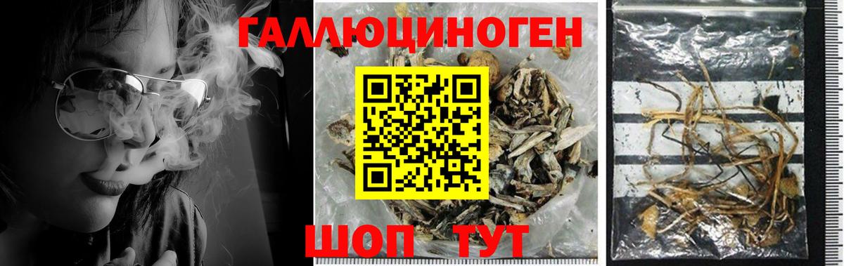 Галлюциногенные грибы мицелий  Вход с VPN  Вольск 